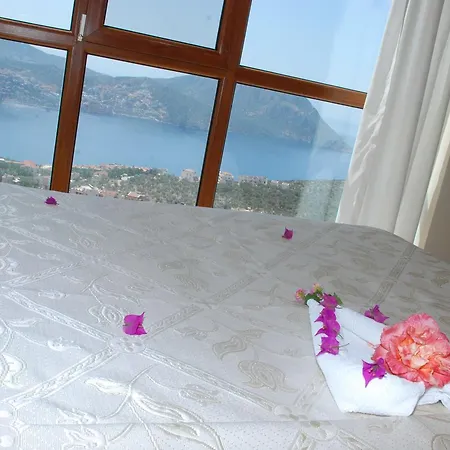 Asya1 *