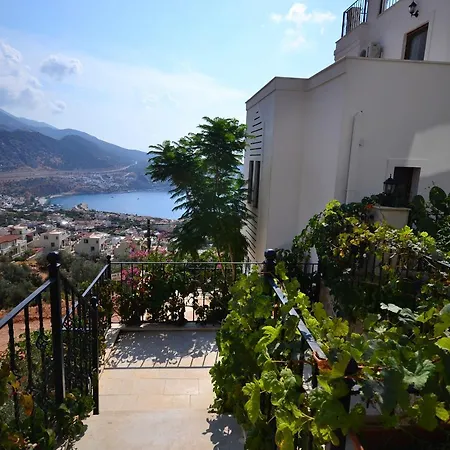 Asya1 Kalkan